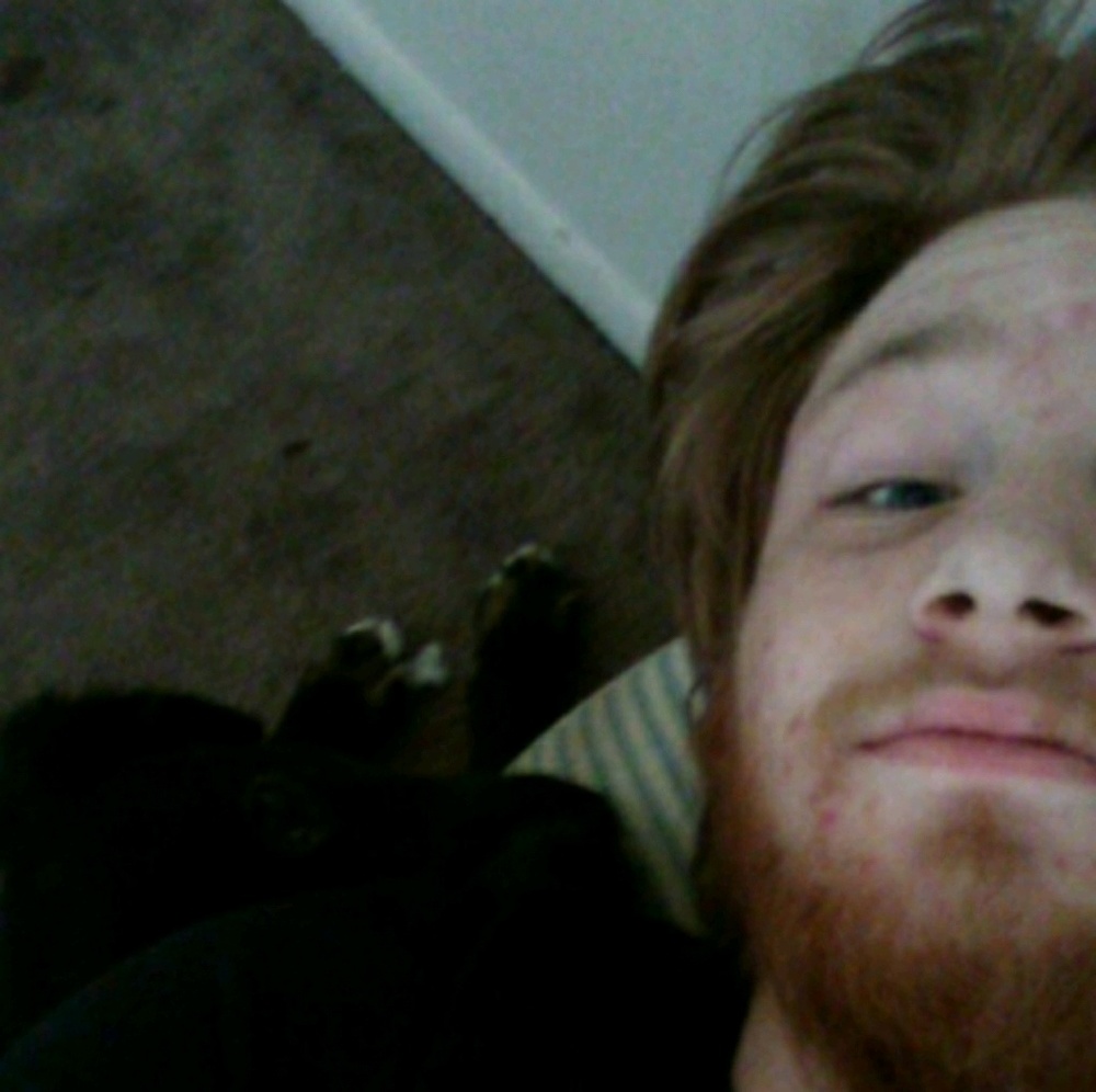 Meet your Posher, Dakota